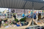 Stall at Bolsover in Bloom