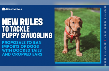 Puppy Smuggling Graphic CCHQ